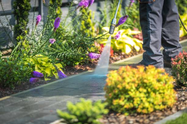 Best Soft Washing  in Hackensack, NJ